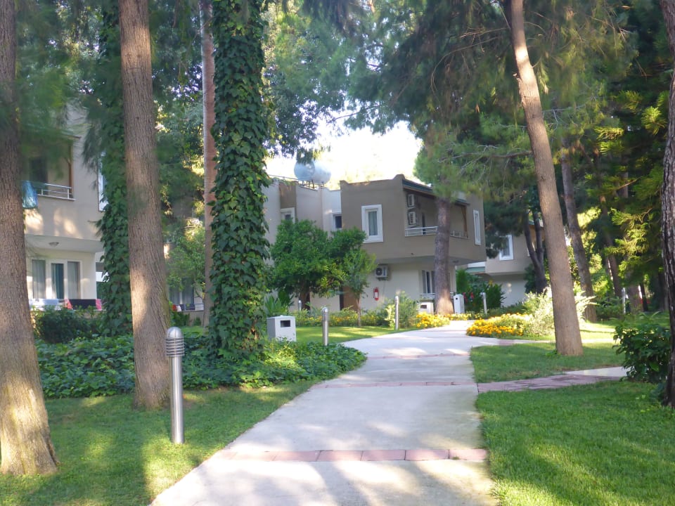 Schöne und saubere Gartenanlage Club Sidelya Hotel