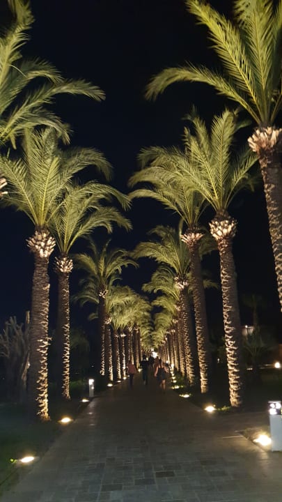 Gartenanlage TUI BLUE Palm Garden