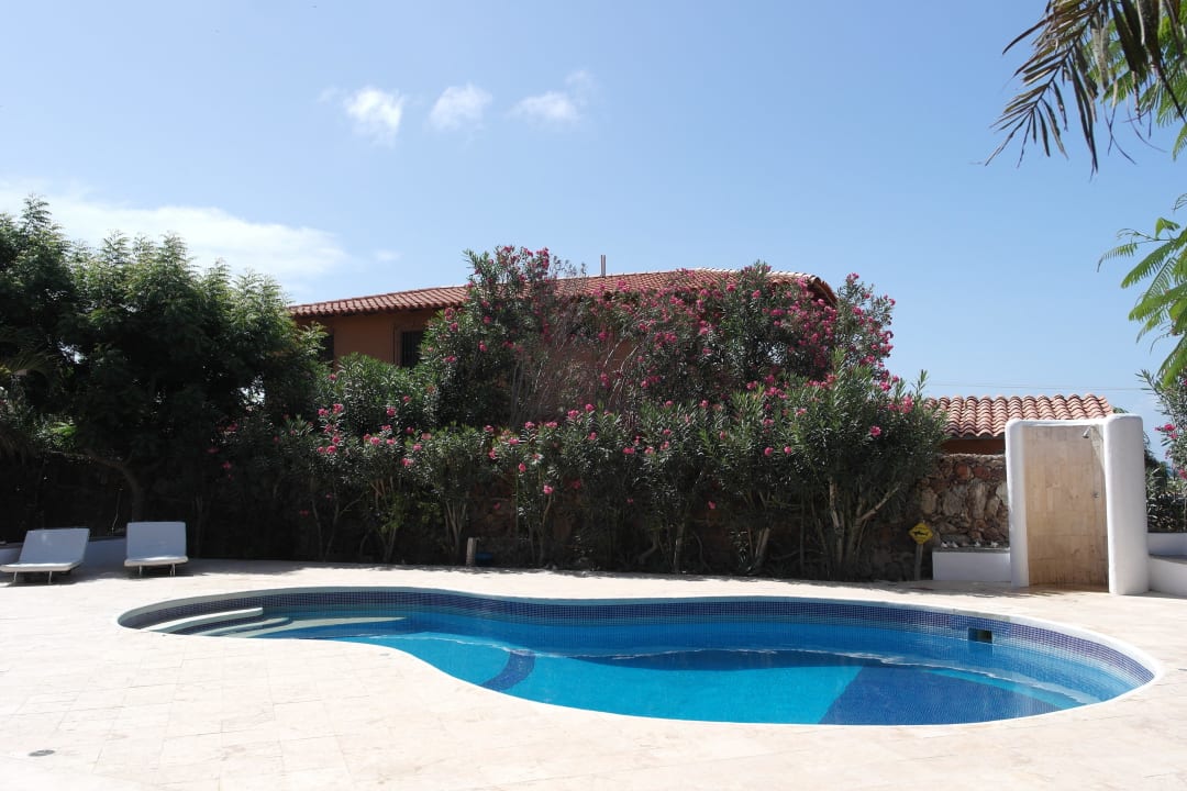 Pool Guesthouse StevieWonderLand