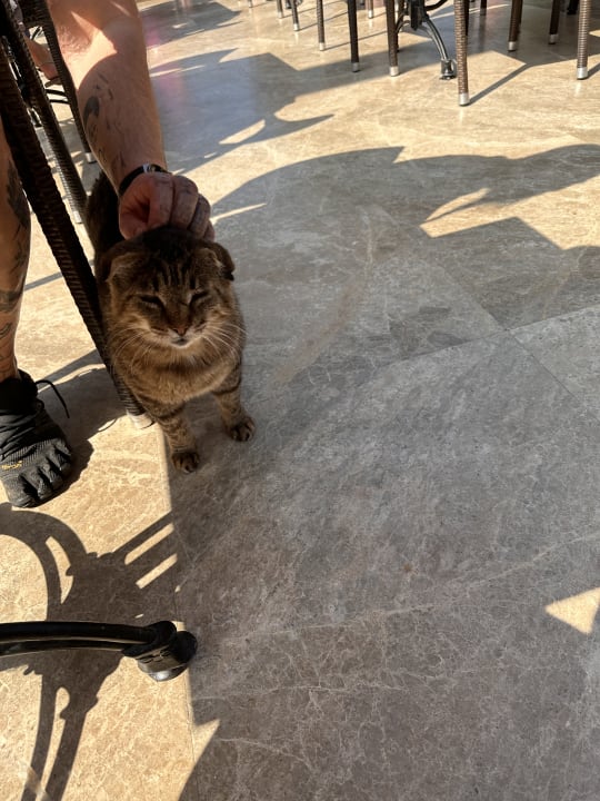 Sonstiges Sentido Trendy Verbena Beach