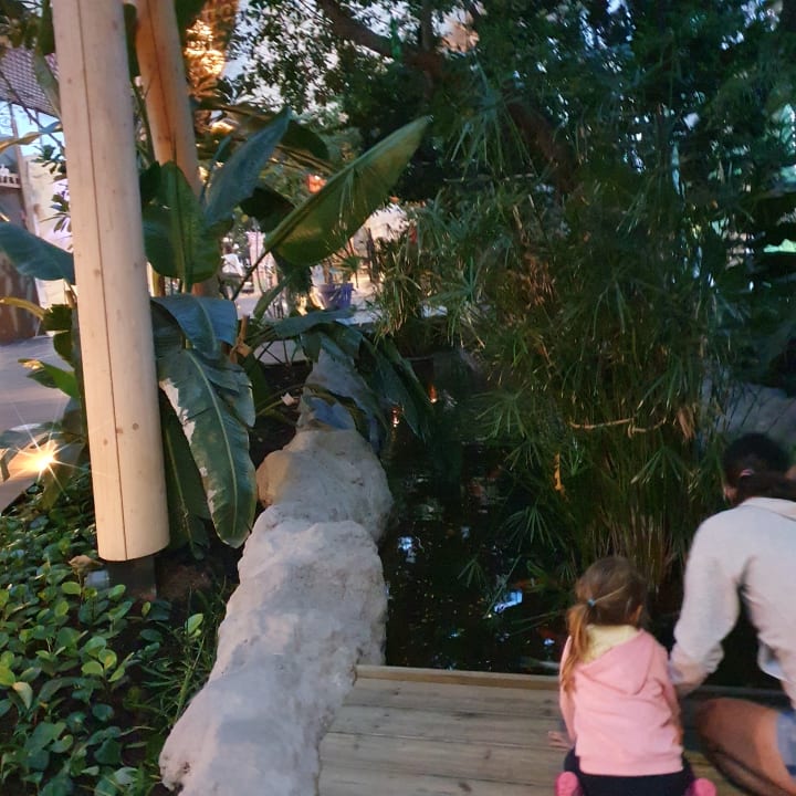 Gartenanlage Center Parcs Le Bois aux Daims