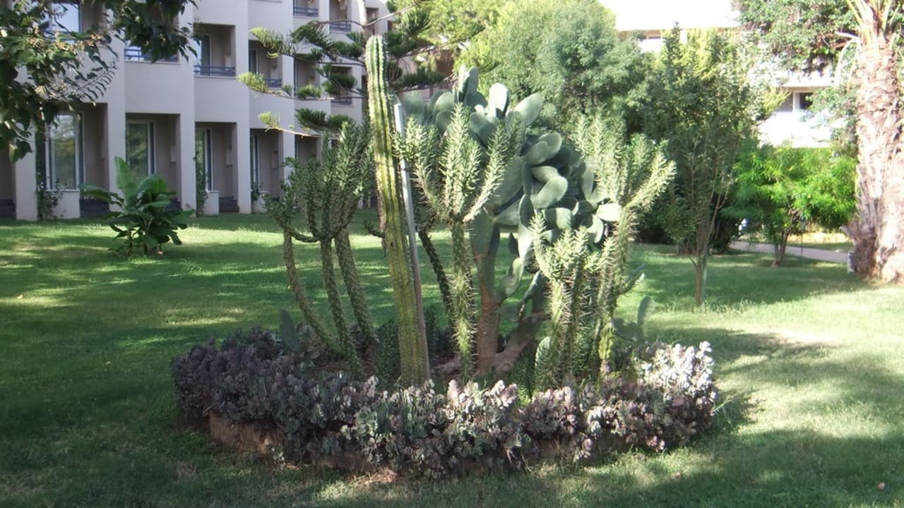 Kakteeninsel Labranda Alantur Resort