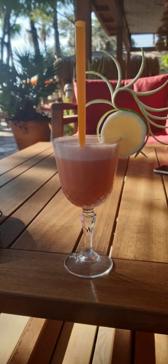 Gastro Arum Barut Collection