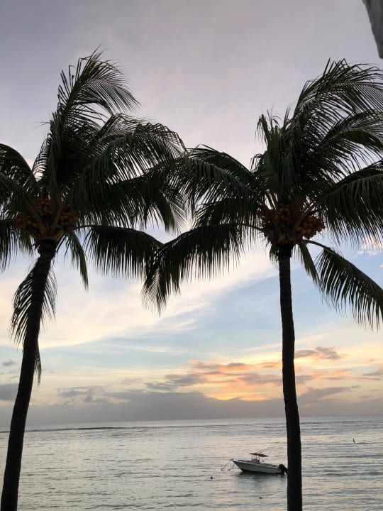 Ausblick Gold Beach Resort