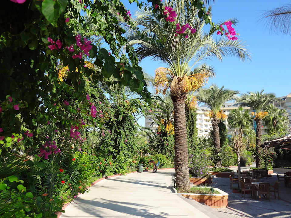 Immer grün Saphir Resort & Spa