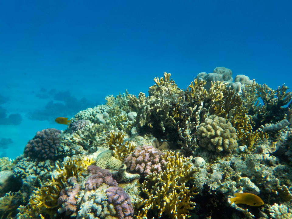 Sport & Freizeit Grand Makadi