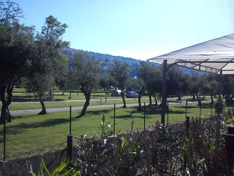 Ausblick von der Terrasse Oliva Camping - Maslinica Resort