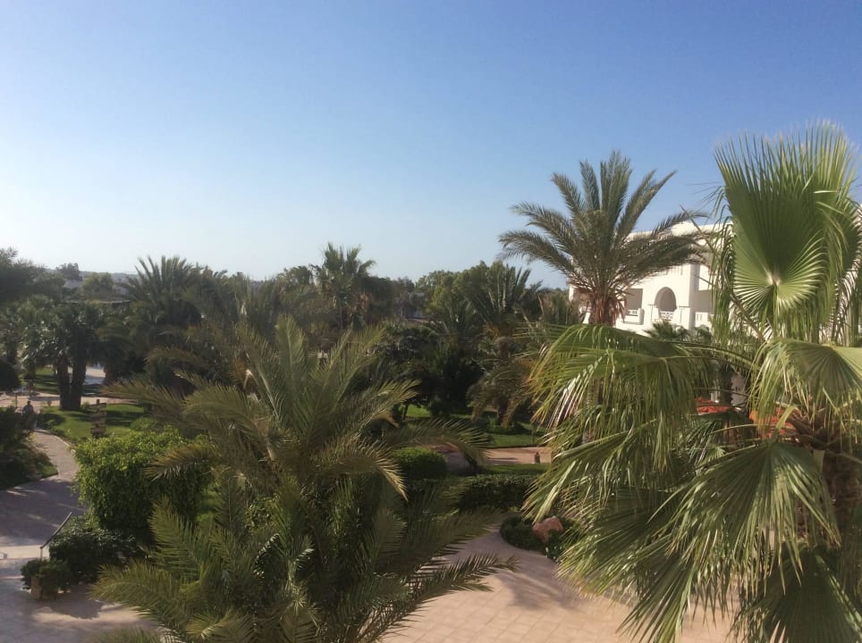 Vue de la chambre  Hotel Djerba Resort