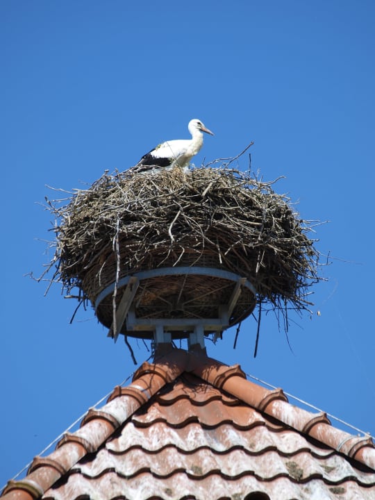 Adebar BIO Hotel Gutshof Insel Usedom