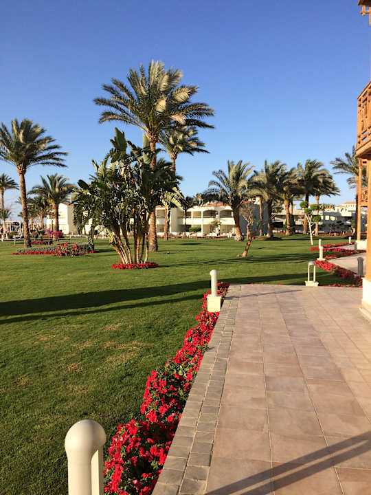 Gartenanlage Pickalbatros Dana Beach Resort - Hurghada