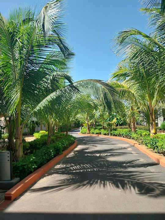 Sonstiges Hotel Riu Baobab - All Inclusive