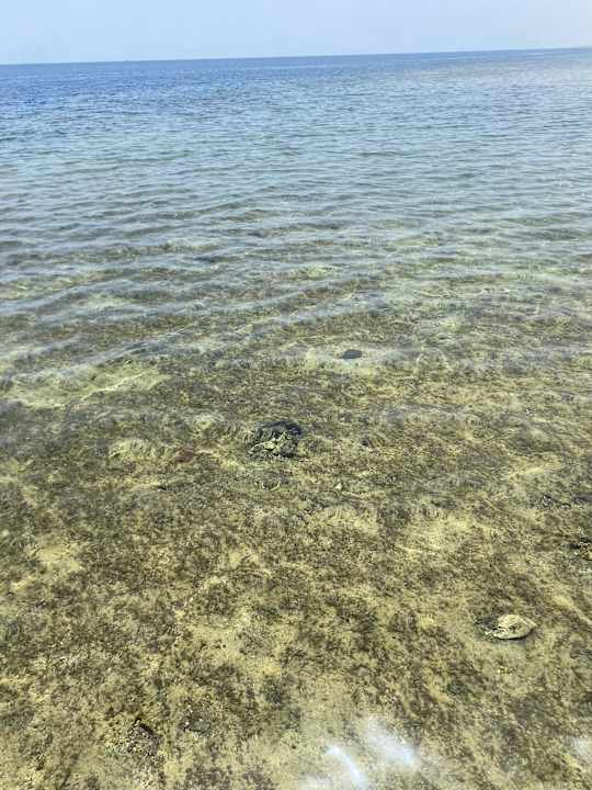 Pool Three Corners Happy Life Beach Resort