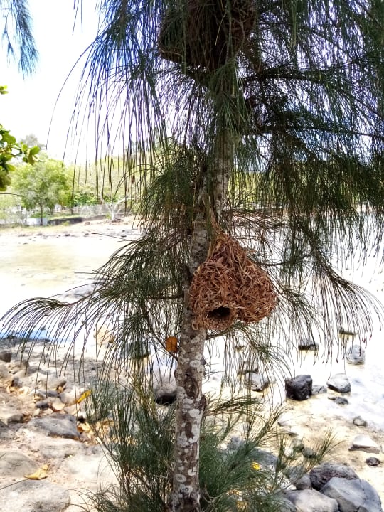 Garten Preskil Island Resort