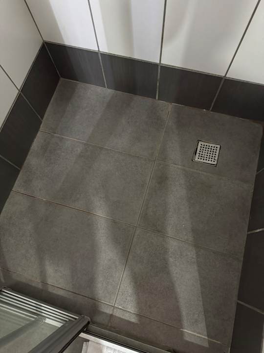 Zimmer AQI Pegasos World