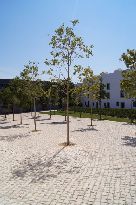 Zadbane ;) Pestana Cidadela Cascais - Pousada & Art District