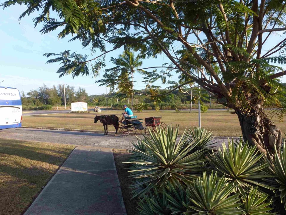 Amigo Rancho Luna Hotel Club Amigo Rancho Luna