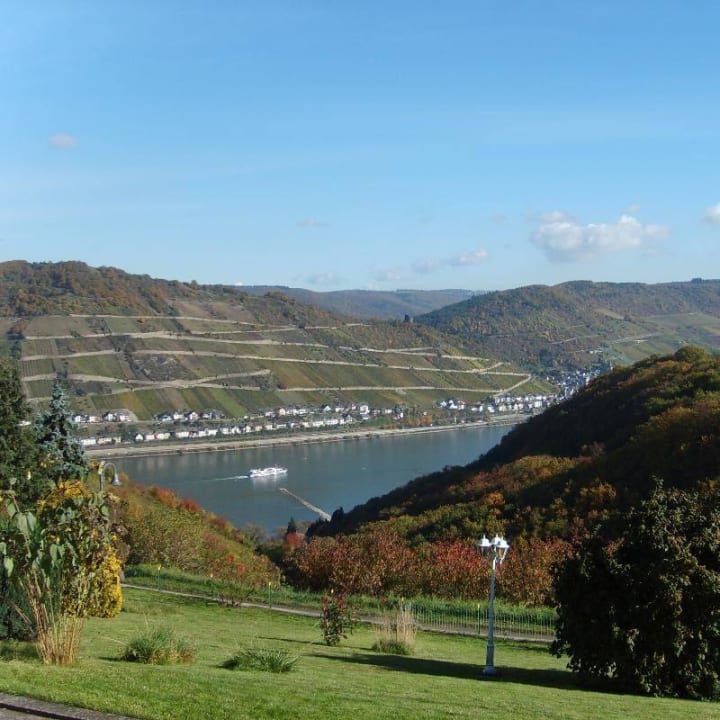 Das Grundstück und der Ausblick Ferienwohnung Schau Rhein