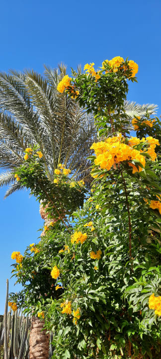 Gartenanlage Jaz Solaya