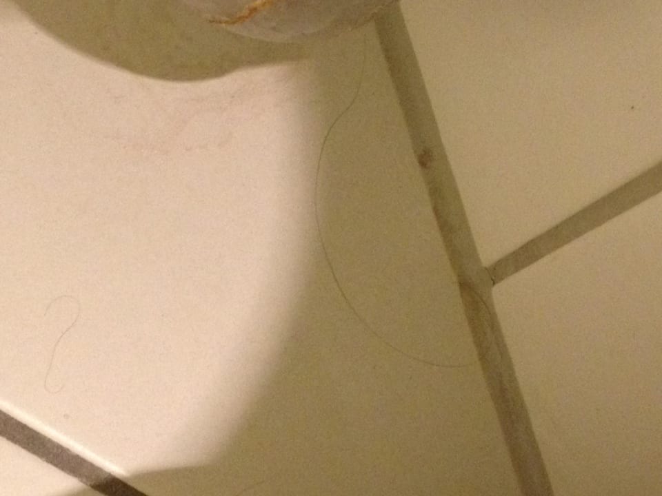 Überall  fremde Haare Hotel Mannheimer Hof - Leonardo Limited Edition