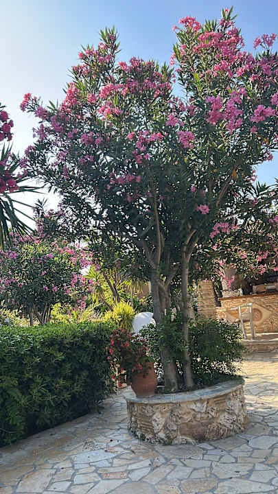 Gartenanlage Porto Koukla Beach