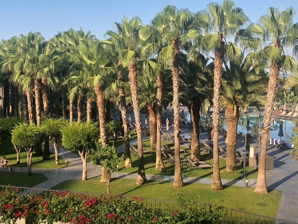 Gartenanlage Hotel Miramare Beach