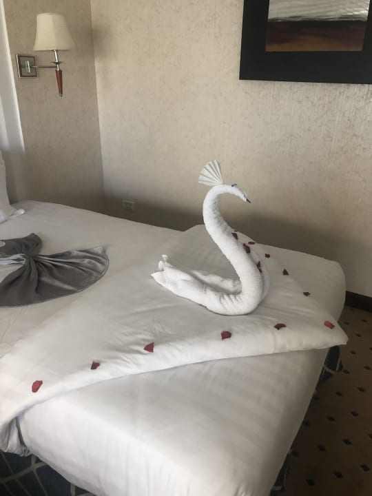 Zimmer Premier Le Reve Hotel & Spa