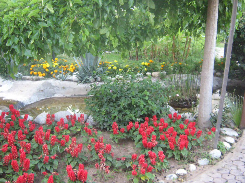 Kunterbunt Club Tuana Fethiye