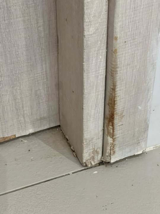 Zimmer Cavo Orient Beach Hotel & Suites