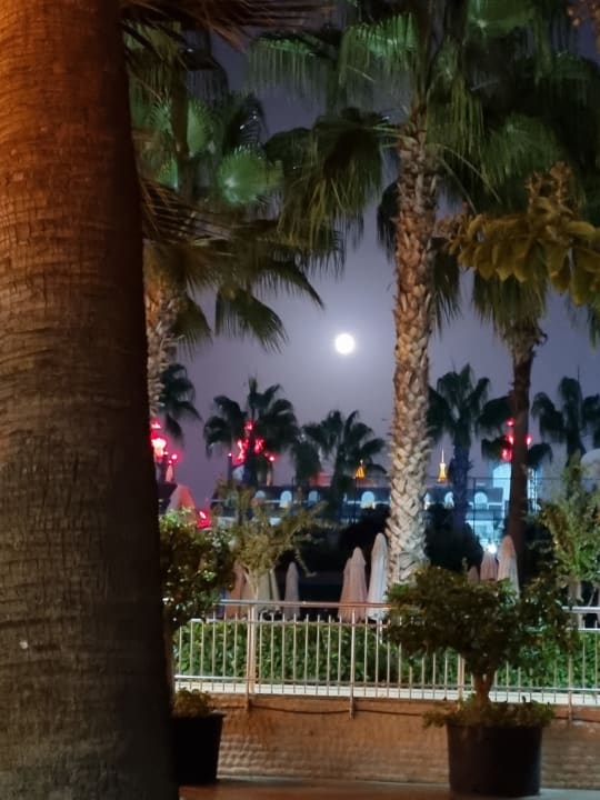 Garten Hane Family Resort