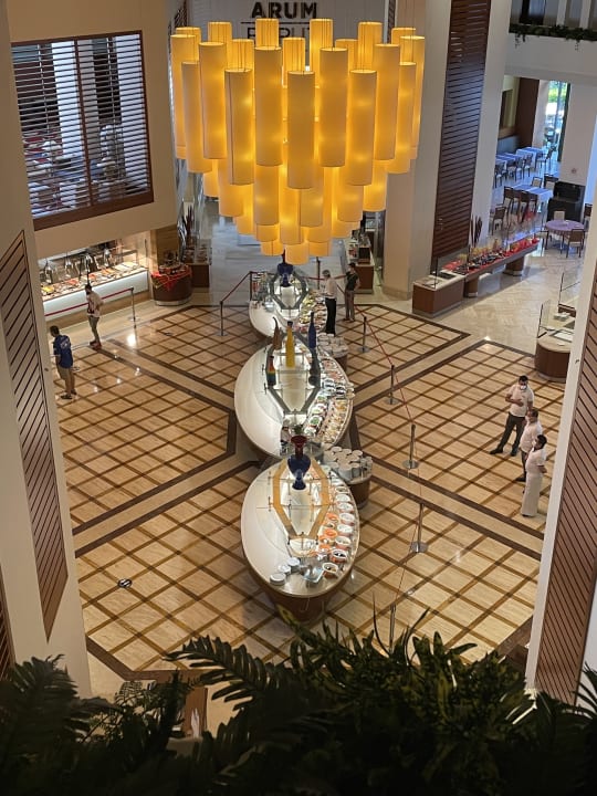 Gastro Arum Barut Collection