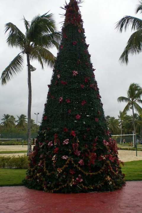 Weihnachtsbaum am Sportplatz Grand Palladium Select Bávaro Resort & Spa