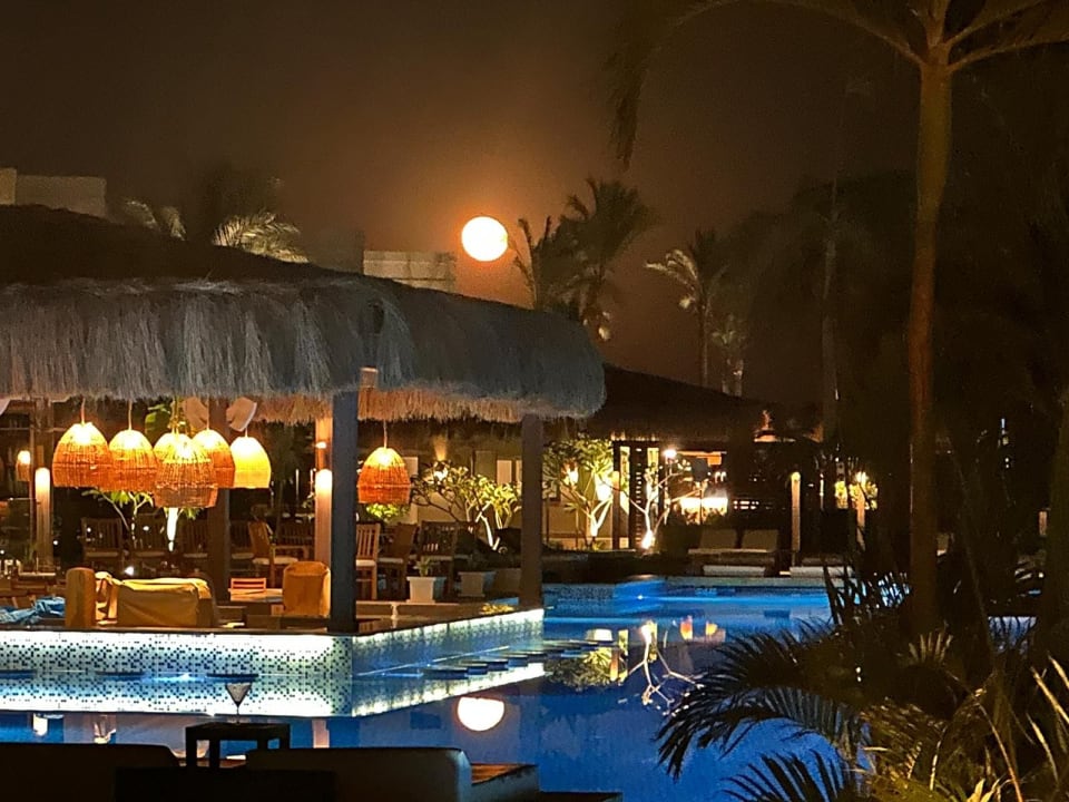 Gastro Steigenberger Resort Ras Soma