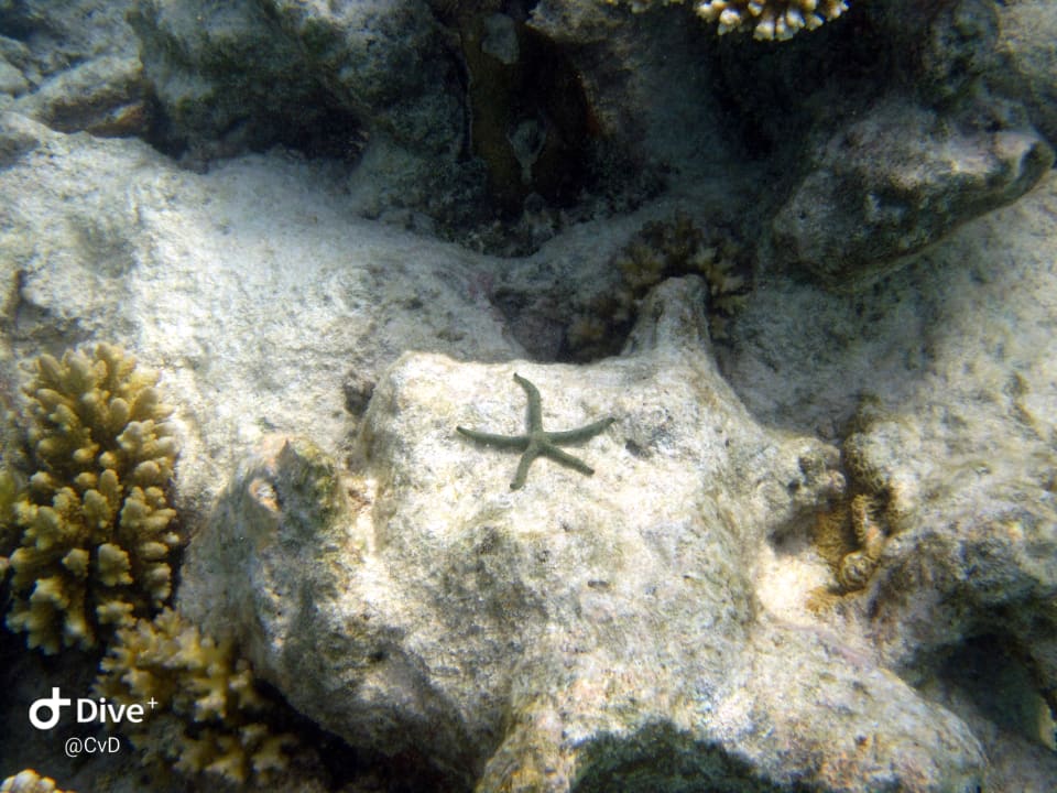 Sport & Freizeit NH Collection Maldives Havodda Resort