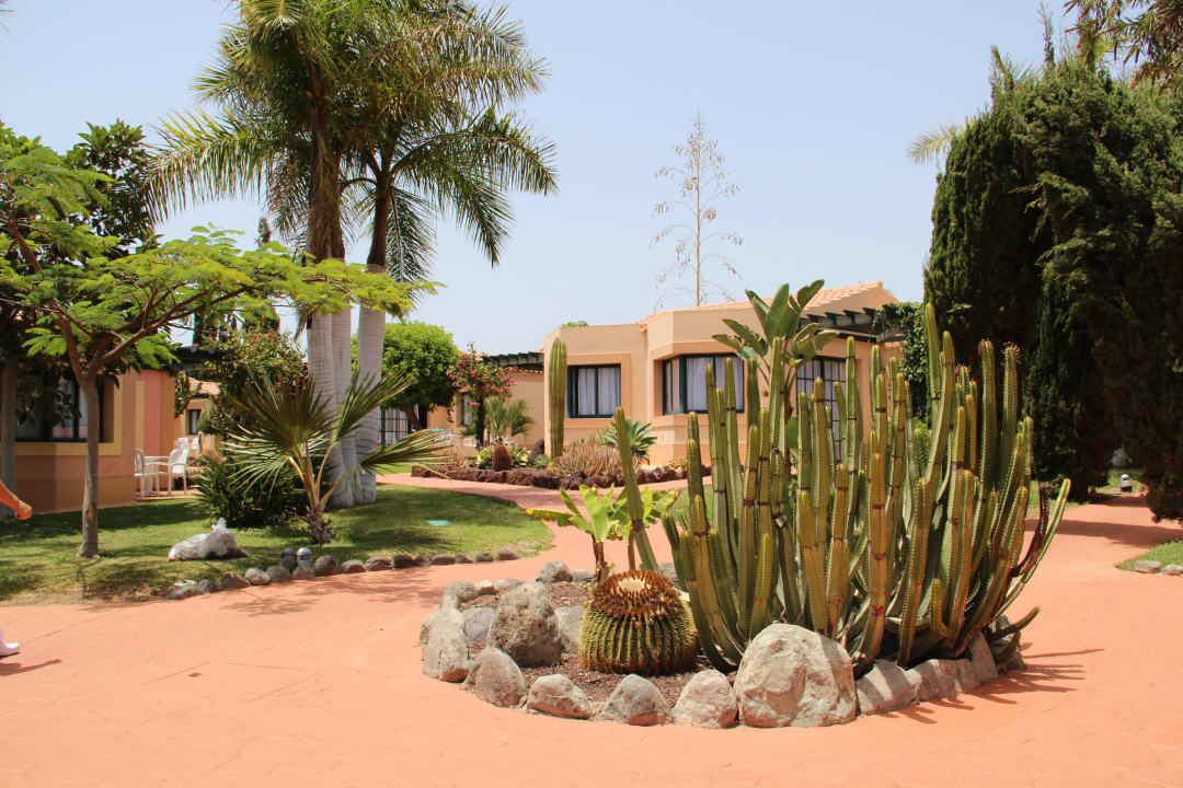 Garten allsun Hotel Esplendido