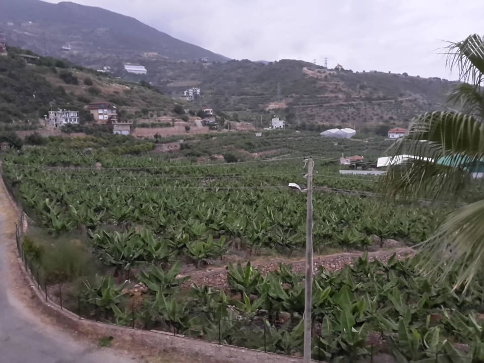 Vor dem gebäude La Finca Marina