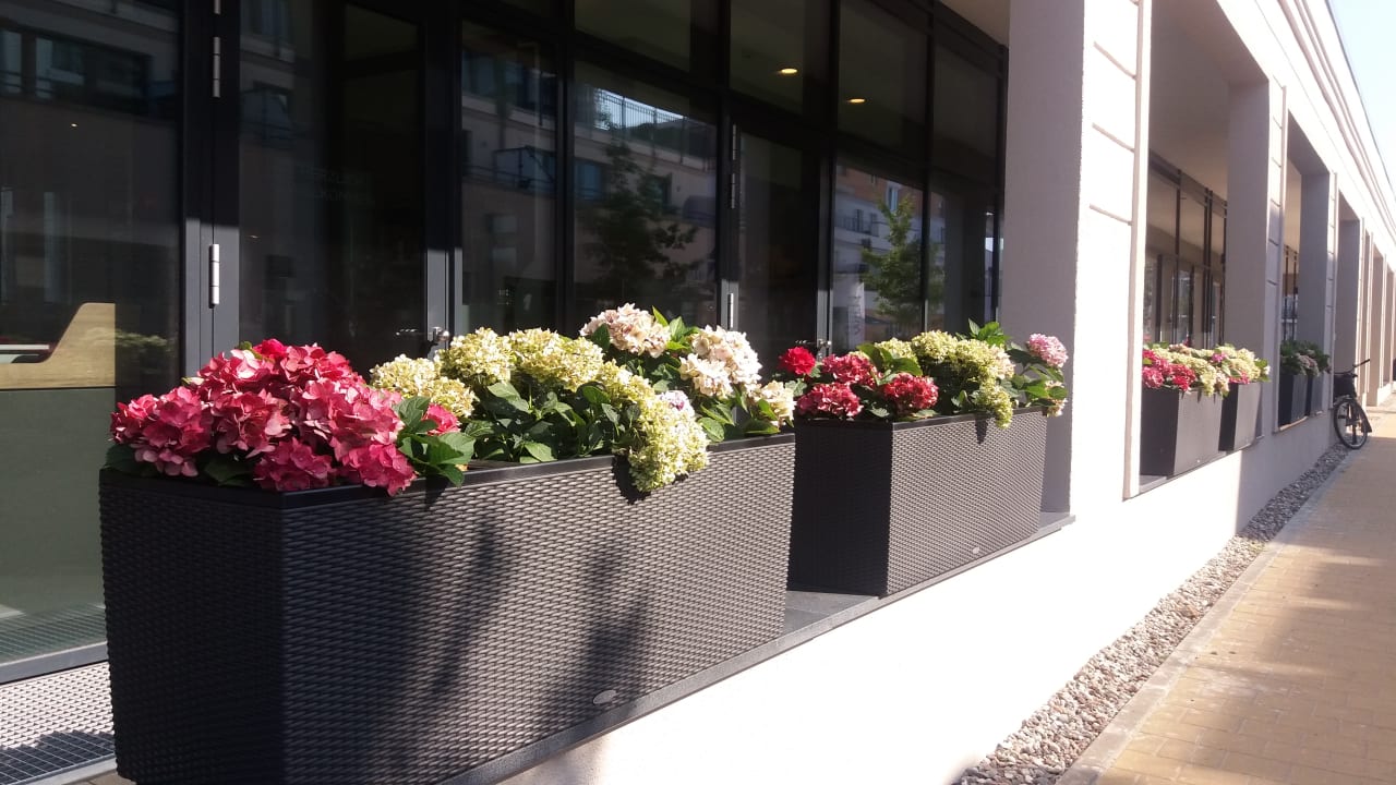 Außenansicht Aparthotel Waterkant Suites