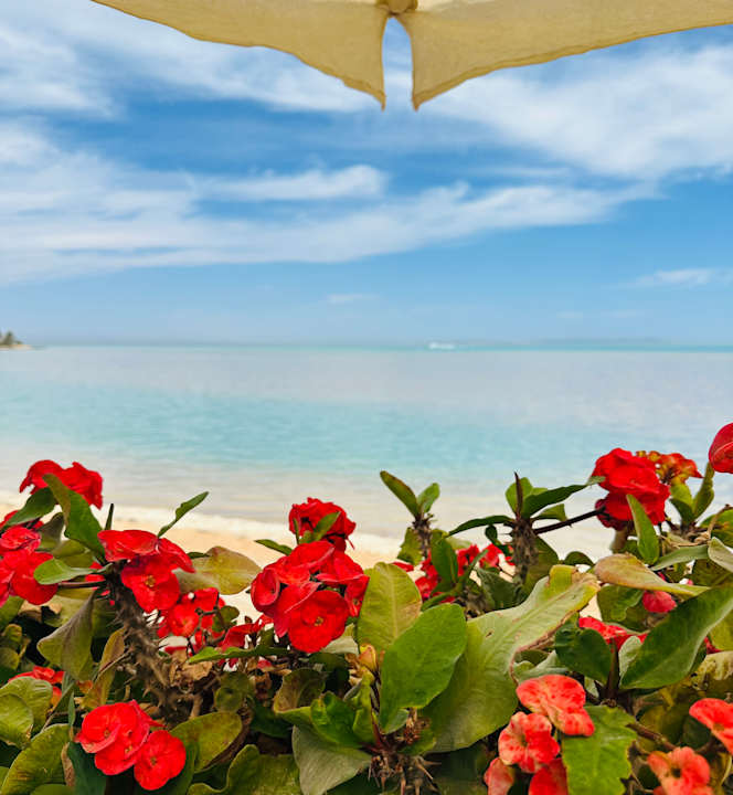 Strand Club Paradisio El Gouna, Red Sea