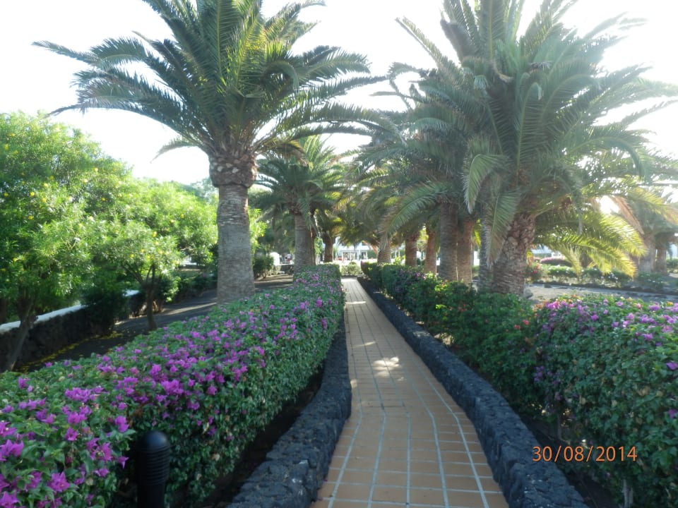 Cesta do apartmánů  Relaxia Olivina