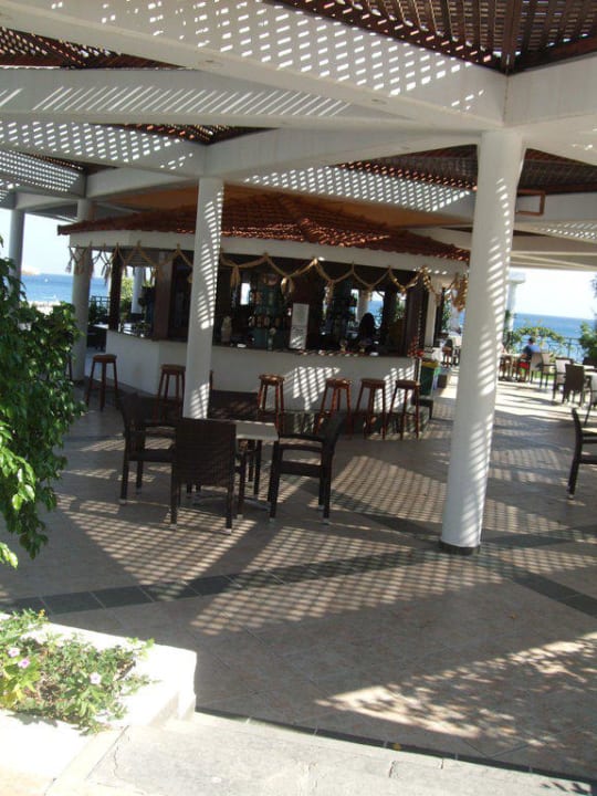 Bar am Pool Hotel Calypso Beach
