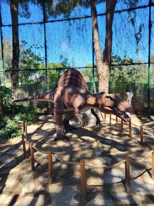 Sport & Freizeit Maxx Royal Belek Golf Resort