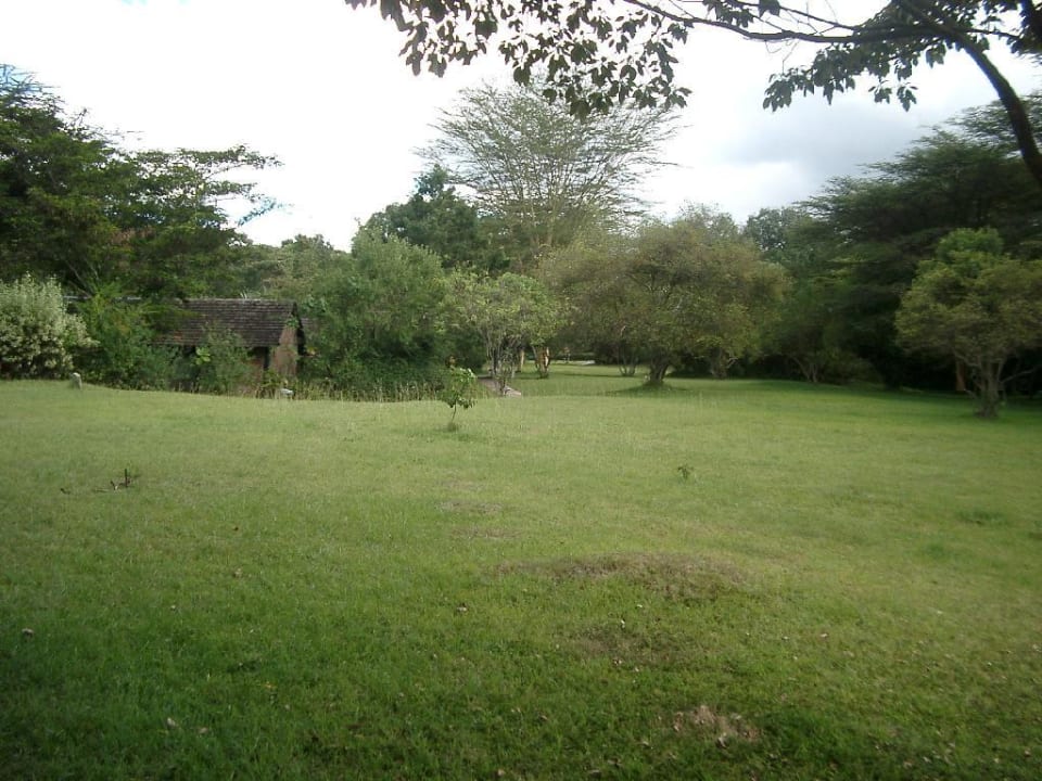 Hotelpark Hotel Mara Sarova Camp