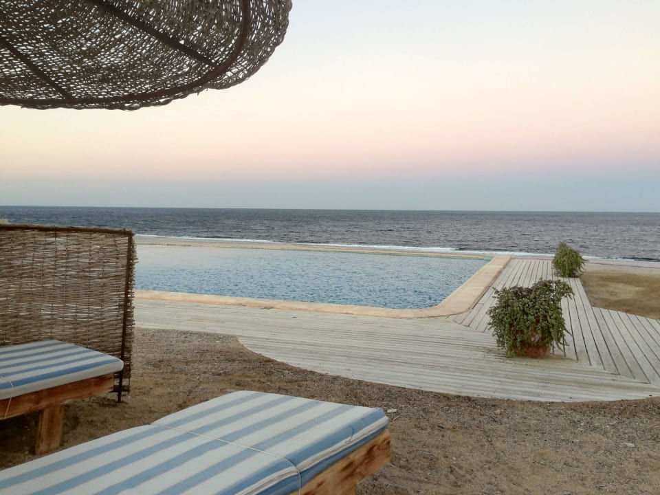 Pool The Oasis Dive Resort