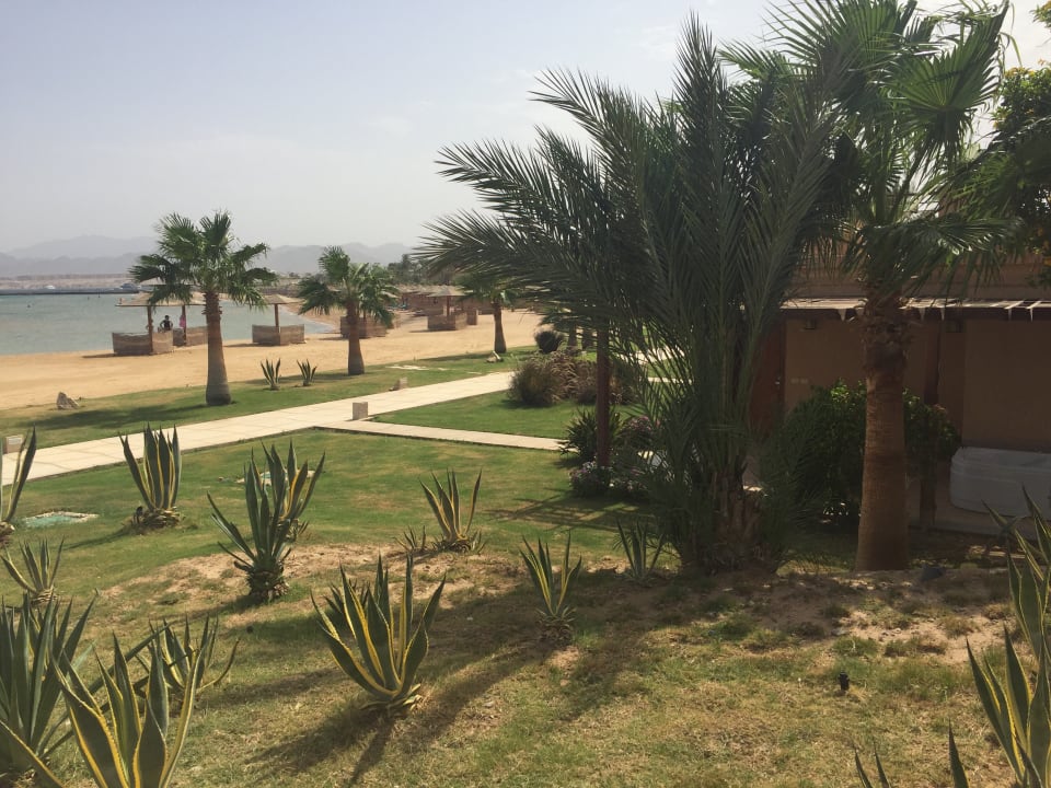 Gartenanlage Shams Prestige Abu Soma-Adults Only