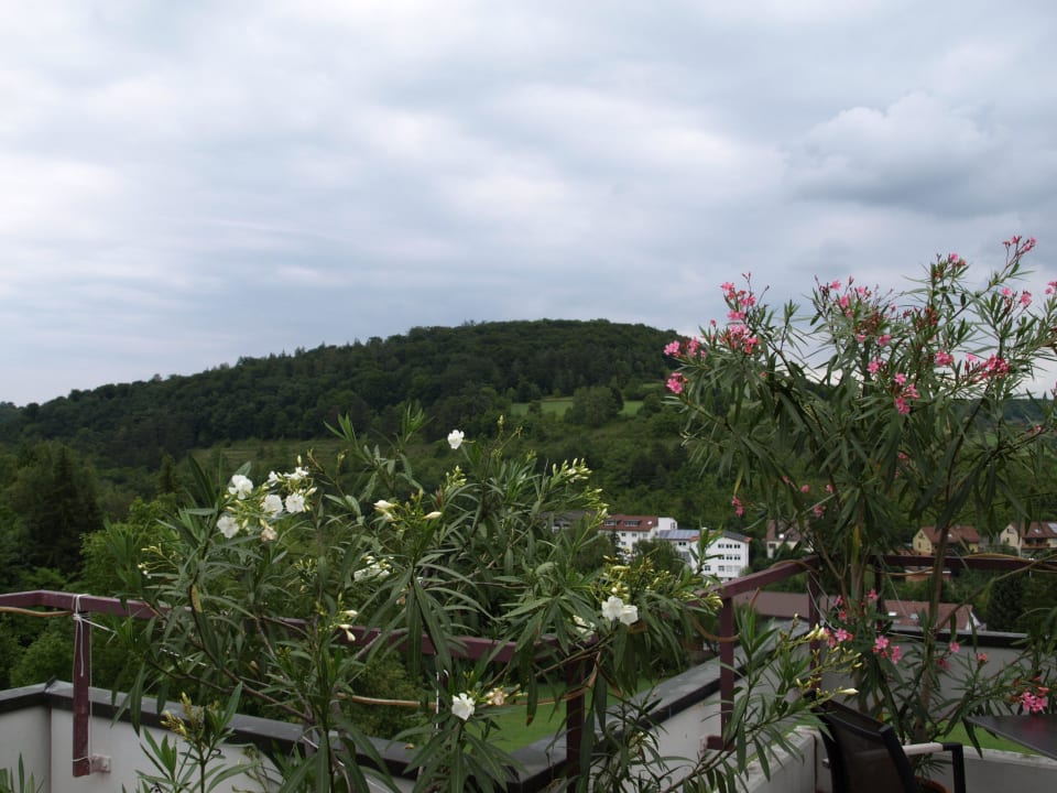 Blick von der Dachterrasse Vitalhotel König am Park
