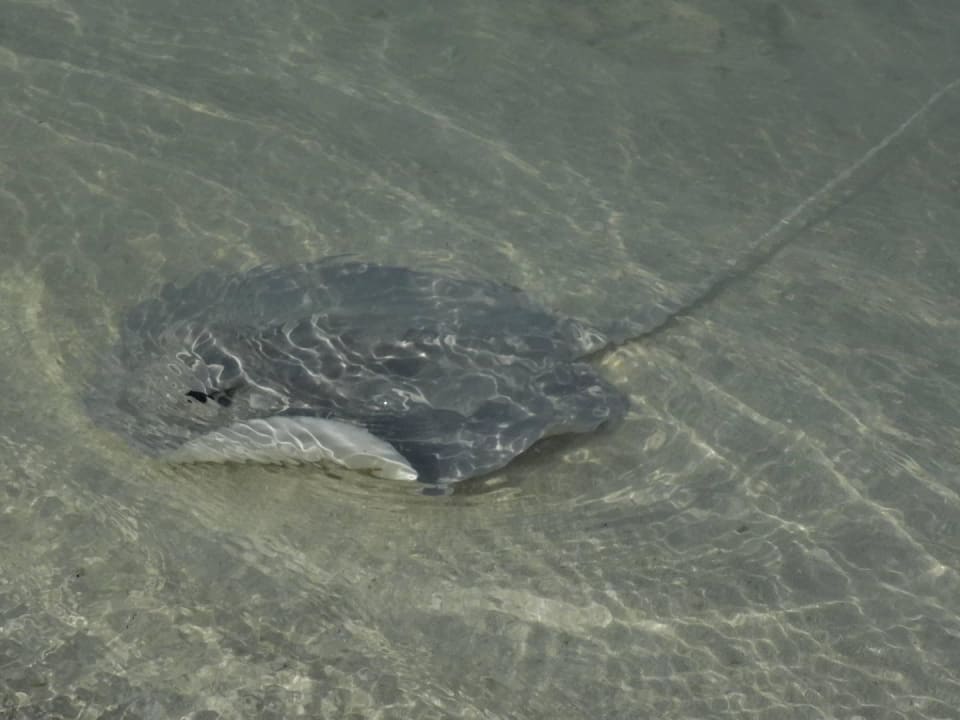 Lagune O-Resort Kuredu Island Resort & Spa