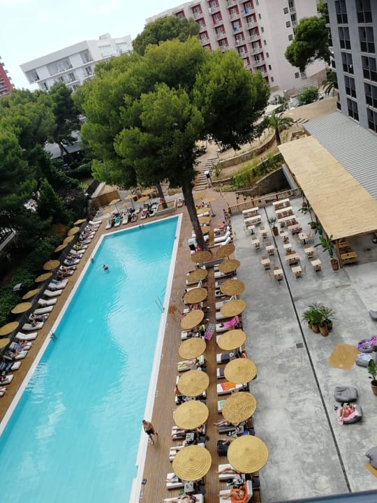 Pool Caramelo Palma Beach