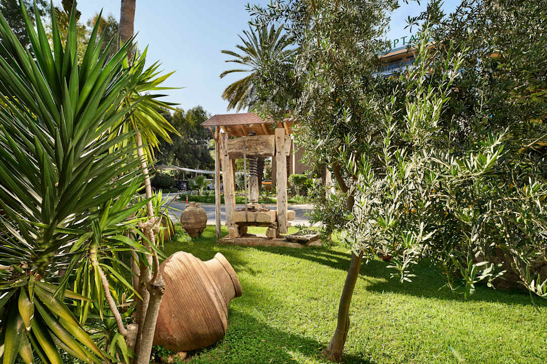 Gartenanlage Grand Kaptan