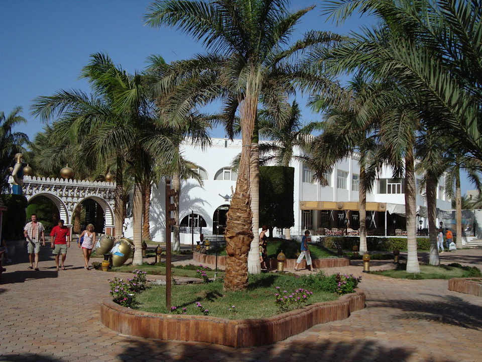 Zieleń Aladdin Beach Resort