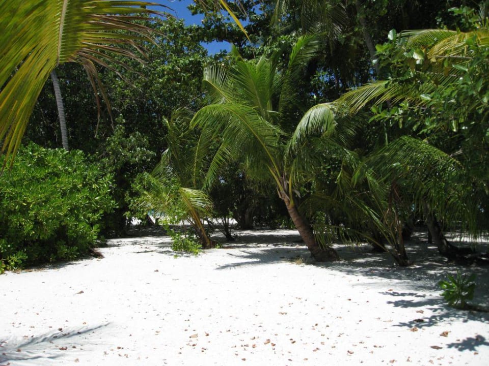 Garten Meeru Maldives Resort Island