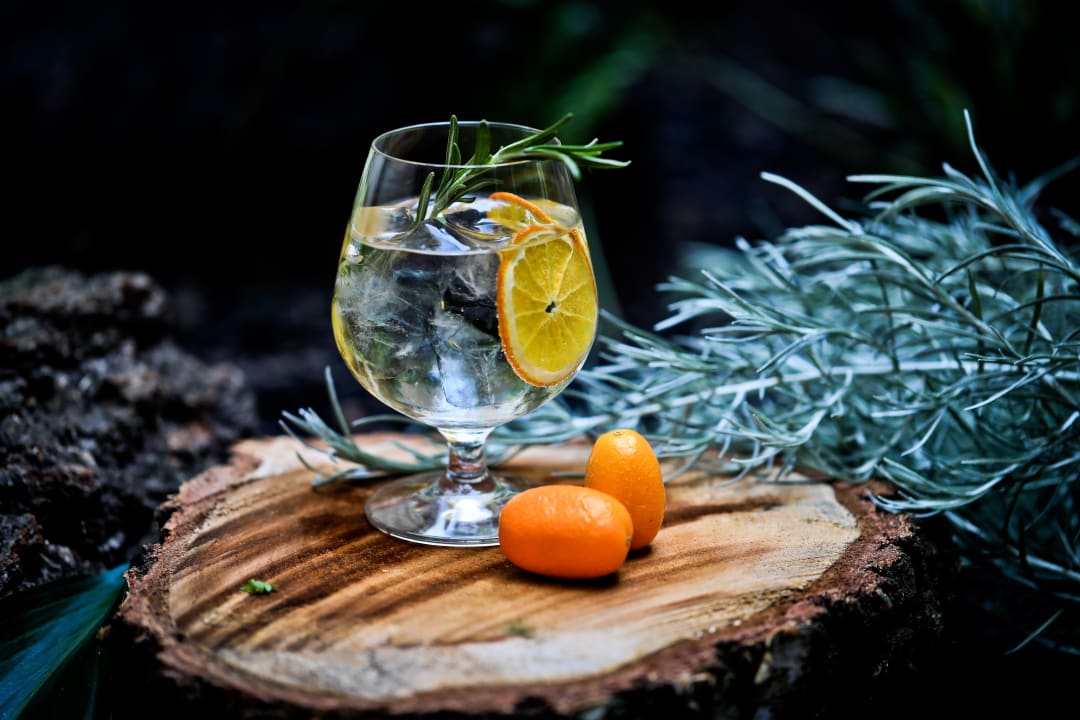 Gastro Botanique Hotel Prague